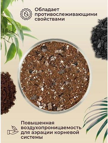 Грунт Terramis для Пальм и Фикусов на кокосовом торфе 2л органо-минеральный купить в СОМ